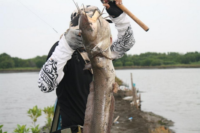 กะพง+ปลาดุกทะเล+เล็กๆน้อยๆลุงวิชมาแว้วว(2009wit)