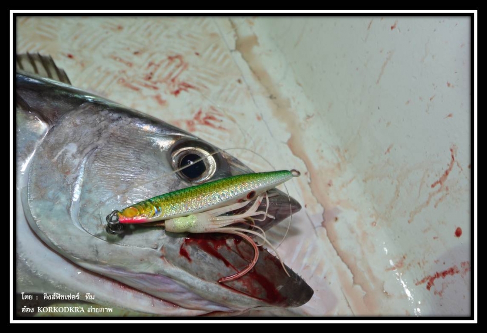 กัดได้กัดดี...กัดมัน กัดเพลิน....กัดเข้าไป....Angler's Pal, Angle Killer . :laughing: :laughing: