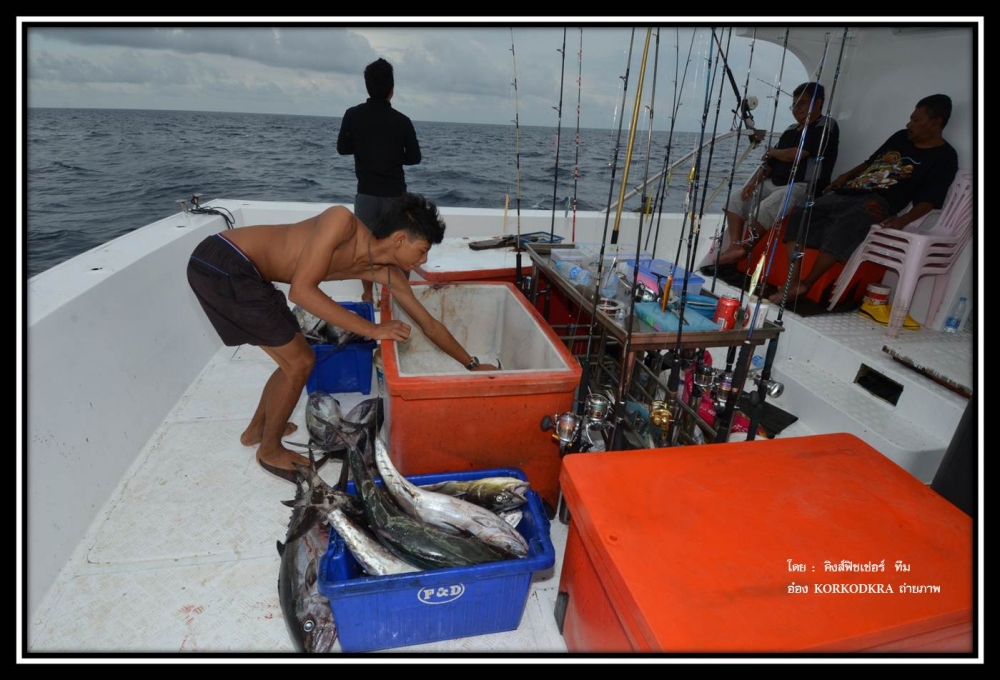 บอสเอาปลาจากถังส้ม...ไปดองในห้องเย็น...ท้ายเรือ :laughing: