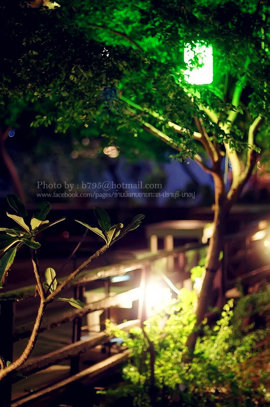 แล้วก็มาหยุดอยู่ที่ ร้านนัดพบชายทะเล บางปู ..ไม่ไกลเลยจาก ถนนศรีนครินทร์ 20 นาที +- 
พอดีคราวนั้นไป