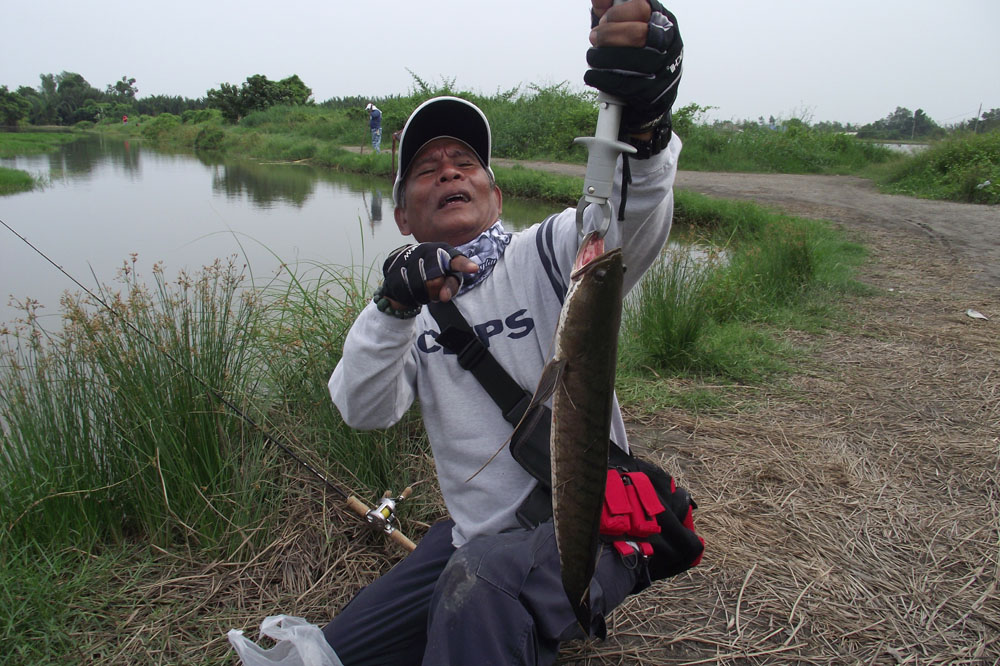 เฮ้ยปลาช่อนตกเมื่อไรก็.................................(เหนื่ย) :laughing: :laughing: :laughing: :la