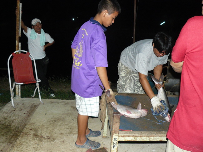 ของใครครับตัวนี้ ตามดูที่จอนะครับ :grin: :grin: :grin: