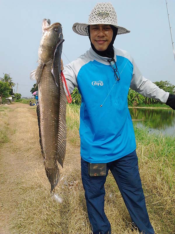 น้ารนหล่อตัวที่2ครับ............... ตัวนี้ไซด์งามๆเลยครับ :cheer: :cheer: