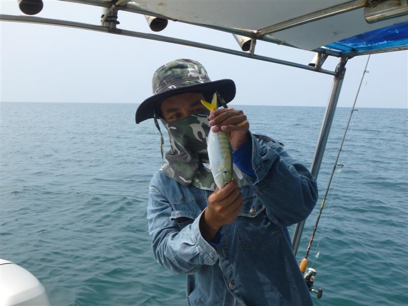 [q][i]อ้างถึง: jord posted: 15-10-2555, 16:05:41[/i]

ยอดเยี่ยมครับ อยากได้เรือแบบน้าราคาเท่าไหร่ค