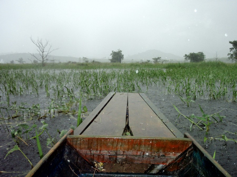 และแล้วฝนก็กระหนำ่ำลงมาครับ เป็นห่วงน้องเคนนี่เหมือนกันครับ ไปหลบอยู่ตรงไหนกันเนี่ย :ohno: :ohno: :o