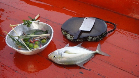 ชัดๆอีกภาพ ยังมีอีกเมนูลืมถ่ายไว้ ปลาอินทรีย์แกงส้ม และที่ขาดไม่ได้ ปลาดิบเนื้อปลาอินทรีย์  :umh: :u