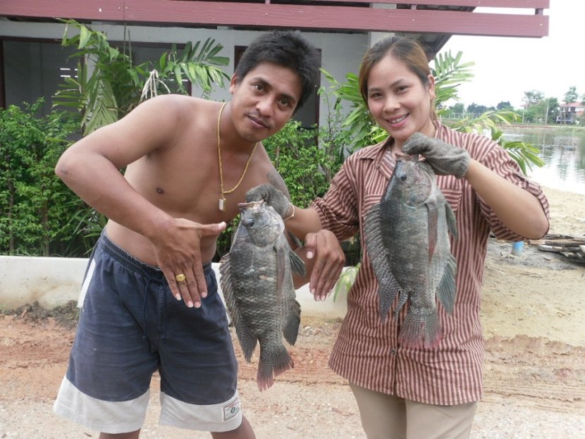 ขนาดปลาเมื่อเทียบกับมือ