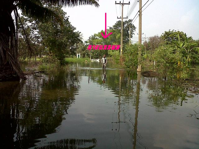 +++ เดินตามมาทีหลังครับ +++