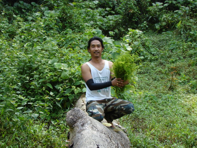 จากโปรปลาจิบไหงกลายมาเป็น โปรผักกรูด แล้วเพื่อนผม
 :laughing: :laughing: :laughing: :laughing: :lau