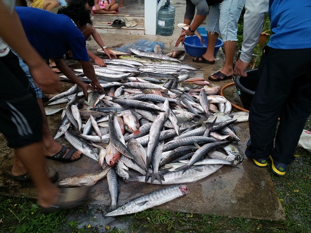 ผลงานรวมๆ
