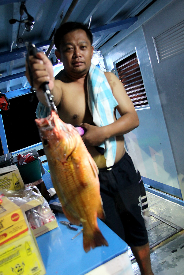 ส่วนคุณหมอเอ้กับปลาแดงเขี้ยวครับ......... . .
-----------------------------------------------------