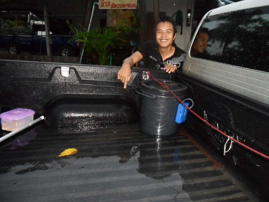 ฝนตกอีกตั่งหากคับ :frown: :frown: :cheer: :cheer: :cheer: :cheer: