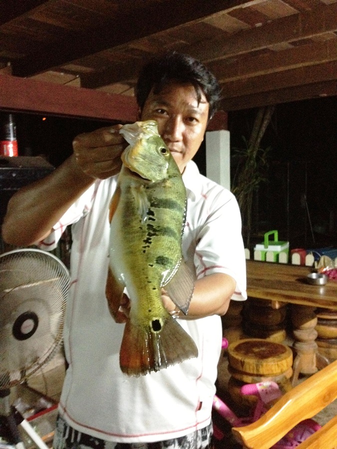 

  :grin:  [b] จัดหนักหลายๆ รูป ..... [/b]  :grin: :grin: :grin: :grin:




:grin:  สวัสดีคร