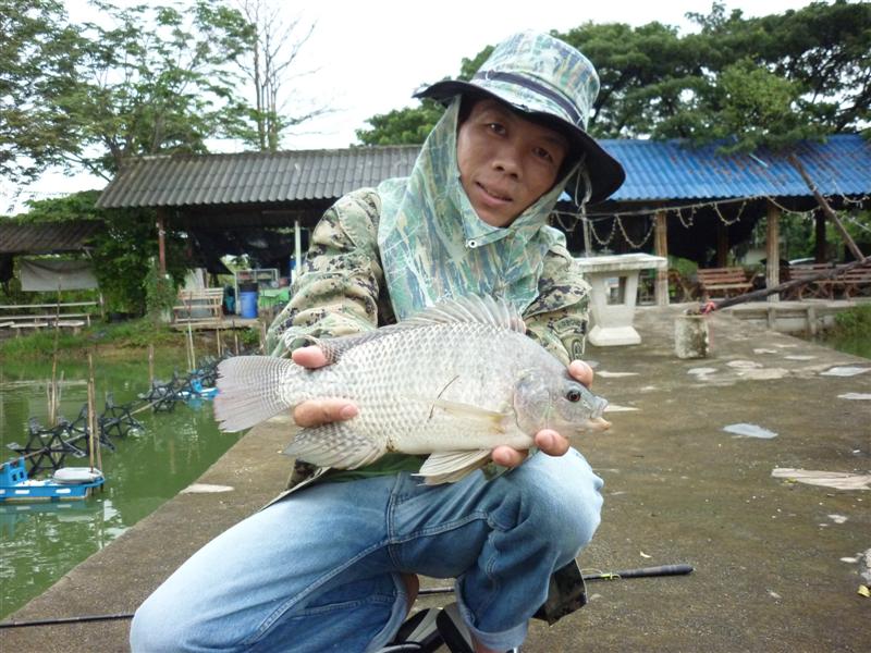               ตาอูดคัดไซส์พอดีจานกลับไปส่วนหนึ่งครับ  