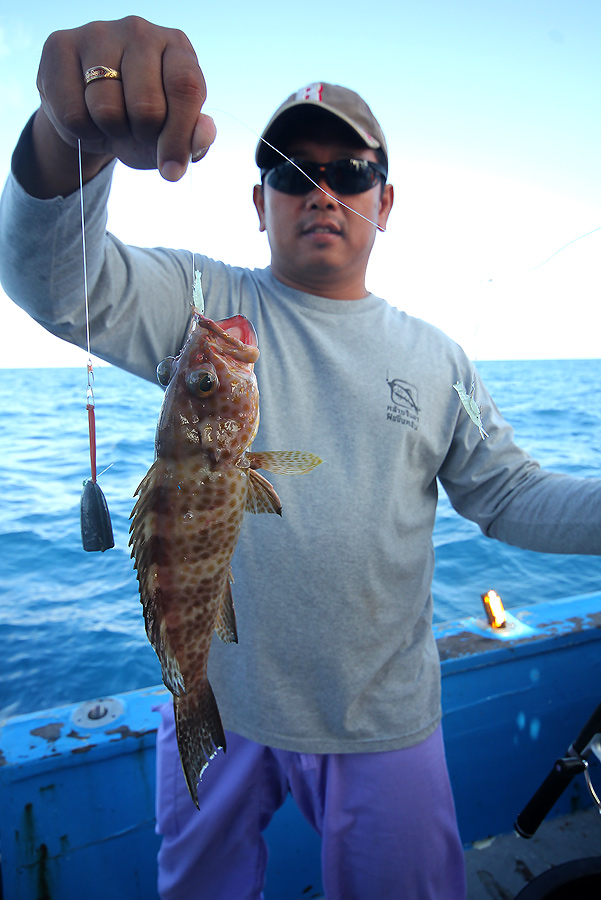 กุ้งโสกกับปลาเก๋าหน้าดินโดยน้าดนัยครับ  :cheer: