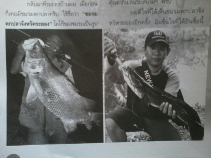  [b]สุดท้ายก็ขอจบกระทู้แต่เพียงเท่านี้คับ ผิดพลาดประการใดขออภัยไว้ ณ ที่นี้ด้วยนะคับ 
ขอลาไปด้วยภาพ