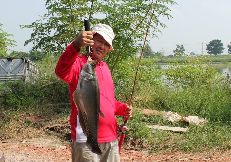 นี่ครับผลงาน ของคันไม้ไผ่ ลงน้ำครั้งที่สองครับ
 [url='http://www.siamfishing.com/board/view.php?ti