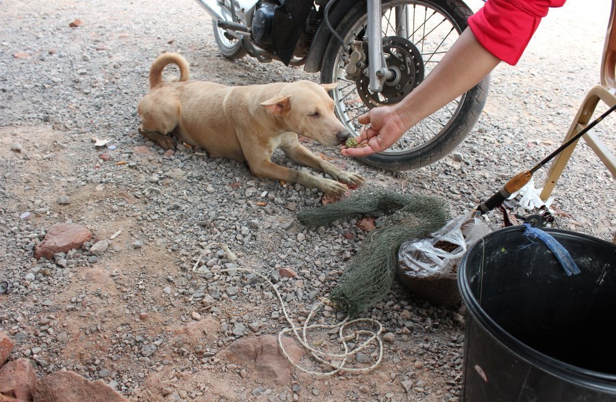 เทส เหยื่อก่อนครับว่า โอเคหรือเปล่าครับ
 :grin: