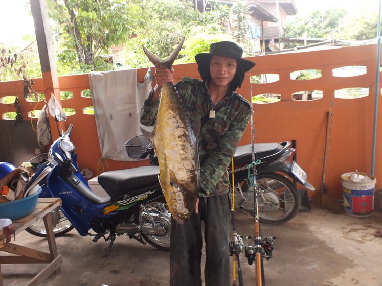 ลากันด้วยถาพนี้แล้วกันนะครับ......
ขอขอบคุณ ทะเลกับของกำนันชินงาม และ ขอขอบคุณ น้าๆทุกท่านที่ติดตาม