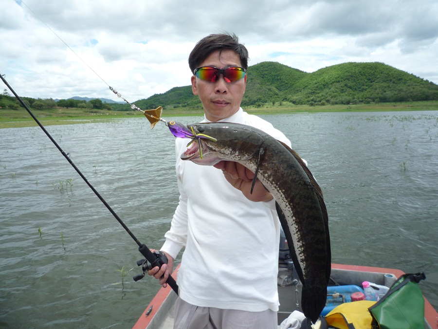 [q][i]อ้างถึง: teamtwo posted: 22-10-2555, 19:42:35[/i]

เพ่โปร     พระรามสาม     เงียบนะ[/q]


