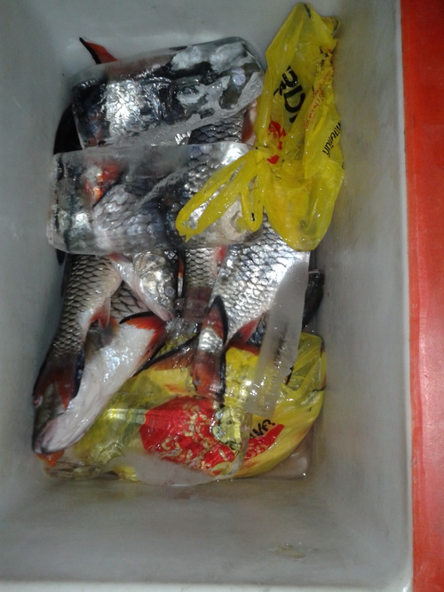 รวมๆ สำหรับ ทริปนี้ จริงๆ เพิ่งได้ตัว เอาตอนเย็นแล้ว 