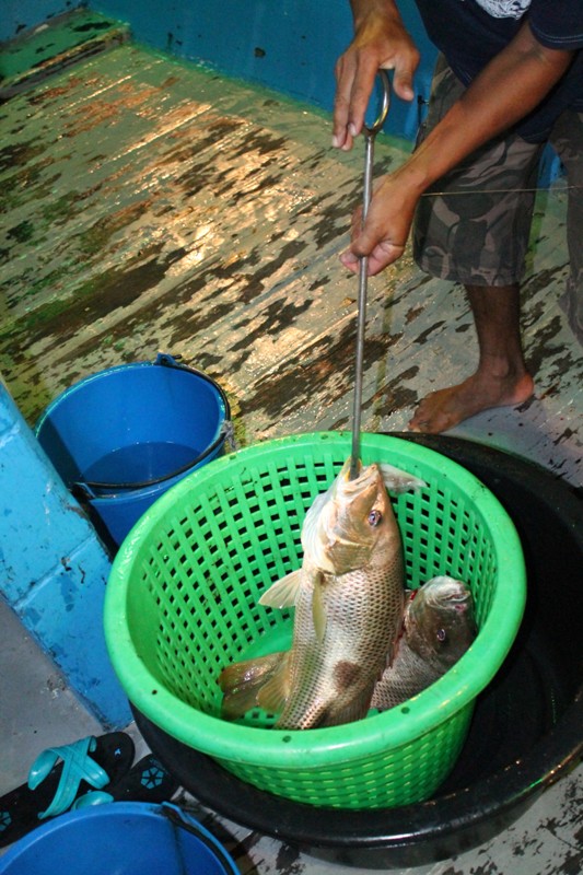 อ้อไอ้ตัวนี้นี่เอง สวดยอดเลยลวกเพี่ย :laughing: :laughing: :laughing: