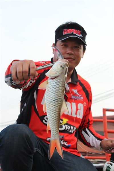 ตีเล่นๆที่โป๊ะลงเรือจั่วขำๆมาก่อนตัวนึงครับเหยื่อClackin Minnow:grin: