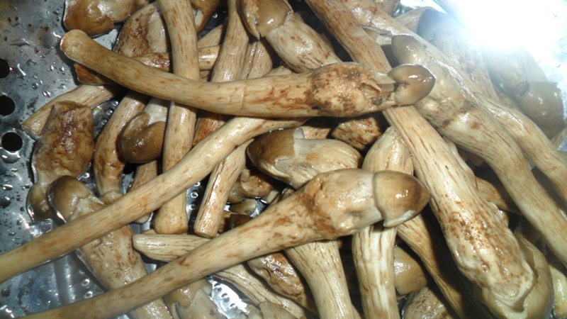 
                   กินดิบๆก็ได้นะ....ถ้าตะกละ....ล้อเล่ง ล้อเล่งงง.. :laughing: :laughing: :laughi