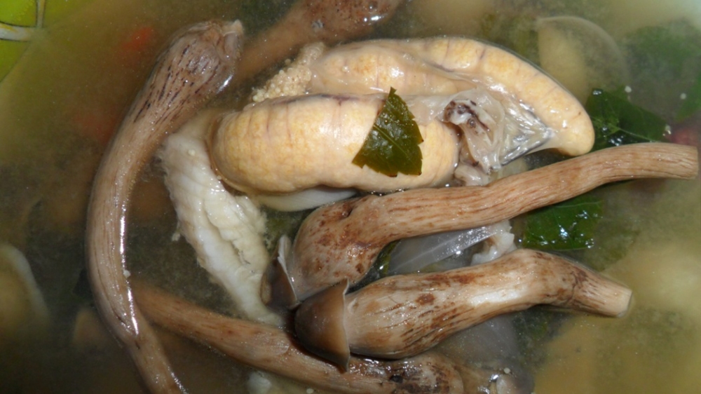 ป้าขอตรงไข่เลยก็แล้วกัน..... :grin: :grin: :grin: :umh: :umh: :umh: :umh: