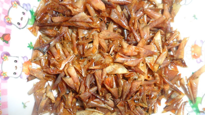 

         ทอดเกล็ดปลาในน้ำมันเดือดๆ  แล้วจะได้อย่างนี้เลยยย... :grin: :grin: :grin: :grin:


 