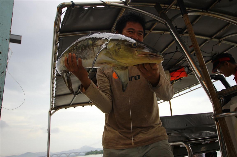 boatman a Chong ขนปลามาเรียงครับ
