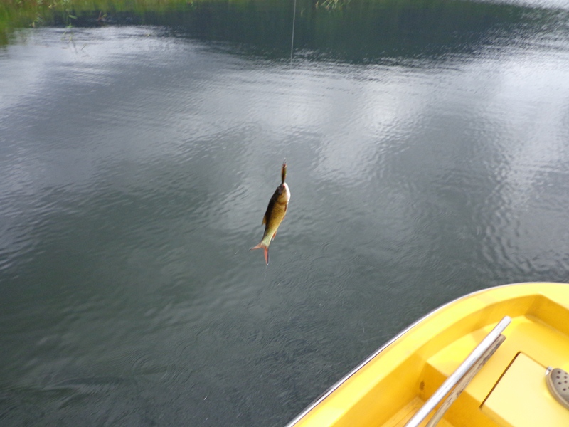 [q][i]อ้างถึง: tv fishing posted: 24-10-2555, 23:24:02[/i]

 :cheer: :cheer: :cheer: :cheer: :chee