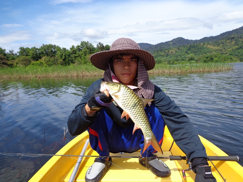 [q][i]อ้างถึง: horus posted: 25-10-2555, 08:35:29[/i]

 :cheer: :cheer: :cheer:[/q]

สวัสดีครับน
