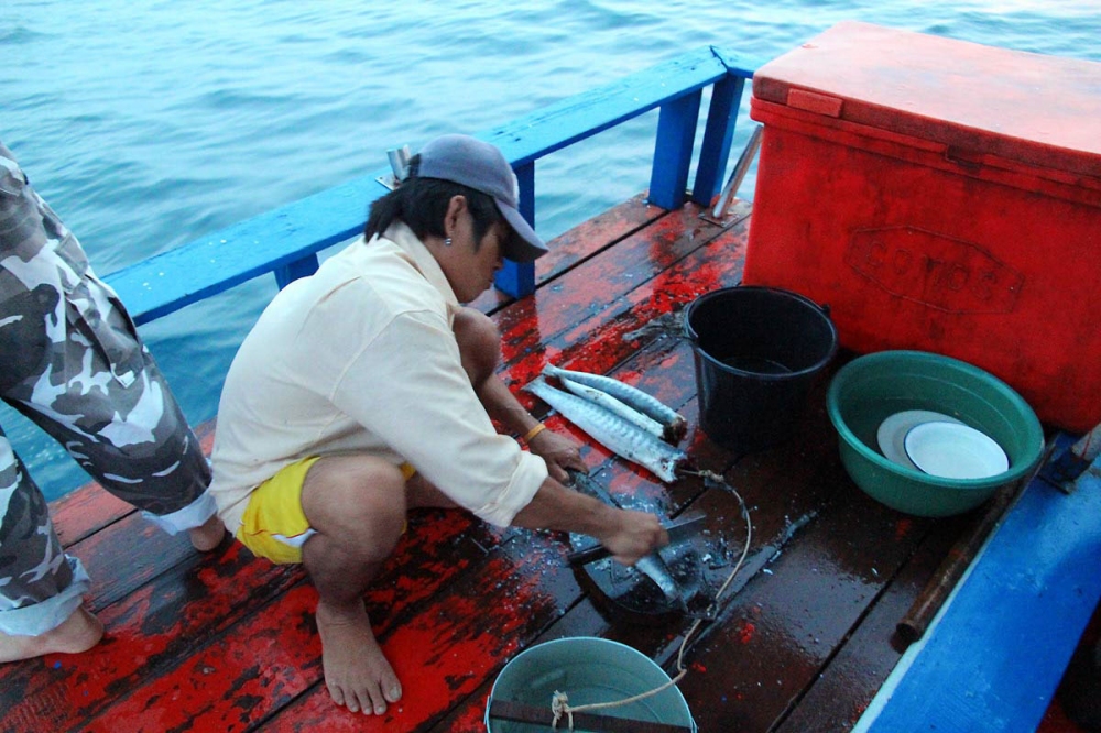เจ้านะเด๊กเรือขยันดีคุยหนุกครับ :cheer: