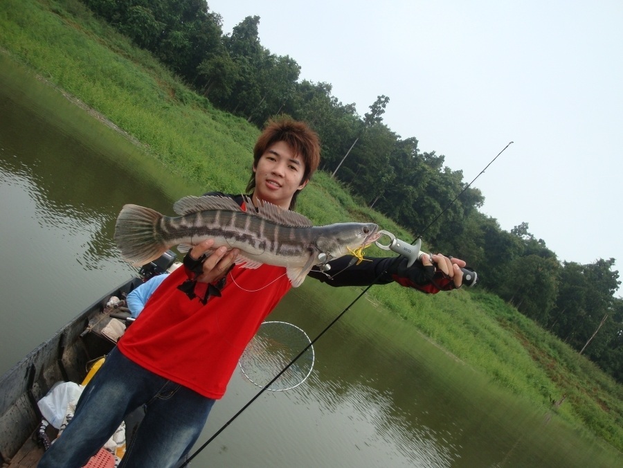  :blush: :blush: :blush: เหยื่อ BUZZ BAIT by ไต๋ปาน บางพระ / ใช้ได้ผลดีจิงๆ :cheer: :cheer: