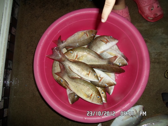 ไอ้โซ๊ะ ตกสนุก สู้เบ็ดดี ทำอะไรก็อร่อย  :love: :love:
