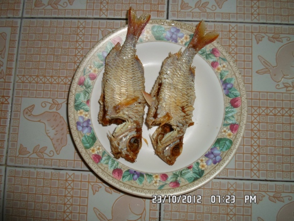 เมนูนำเสนอ ปลาข้าวเม่าทอด เกล็ดกรอบเหมือนข้าวเกียบเลย  :umh: :umh: