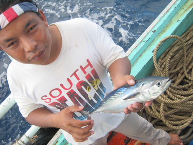 พอเช้าวิ่งเรือไป มีปลามาขอขึ้นเรืออีกตัวตรับ       :grin: :grin: :grin: