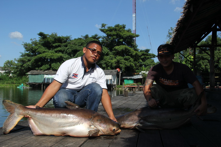 ขึ้นมาจับถ่ายรูปคู่สะเลยครับ
 :grin: :grin: :grin: