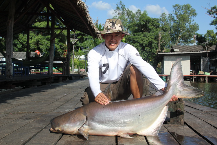 มัวแต่ถ่ายรุปปลาคู่ น้าลอง เอาปลาฝั้งใหญ่ขึ้นมาอีกแล้ว
 :smile: :smile: :smile: