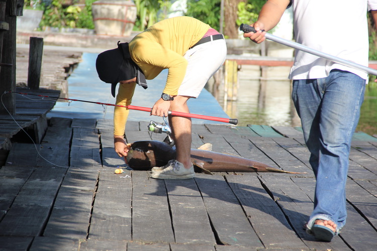 ถ่ายแค่นี้พอ ไม่ต้องจัดถ้าละ
 :grin: :grin: :grin: