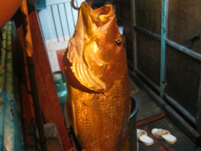 กำลังจิ้กอยู่มีปลาหน้าดินมาขอขึ้นเรือเลยให้ขึ้นมาด้วยครับ     :grin: :grin: :grin: