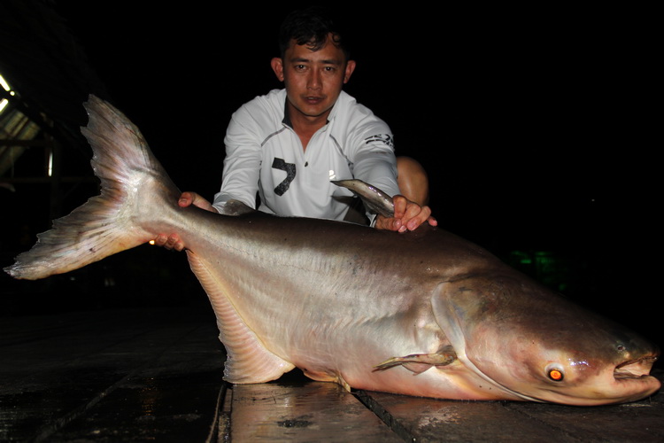 ดูตัวครับมันหน้าหมดแรงไหม
 :grin: :grin: :grin: