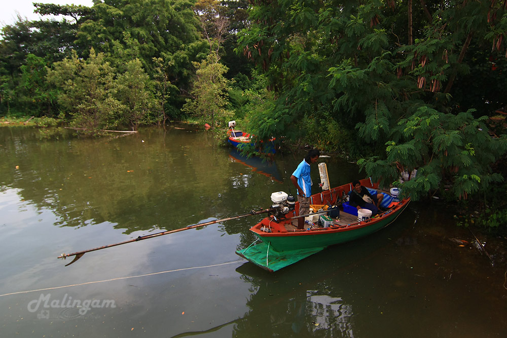 ส่วนมากเป็นเรือเล็กๆ
ที่สอบถามมา  มีเรือพาออกตกปลา เทียบท่า 3 ลำ  
ซึ่งเป็นเรือไดหมึก  ที่รับพาออก