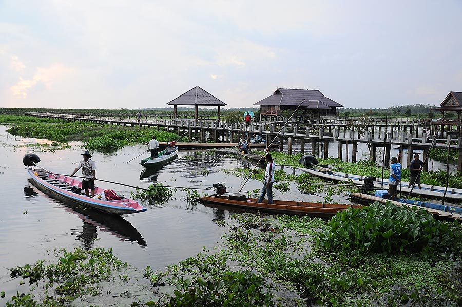 เรือมากันแล้ว ใครจับฉลากได้ลำไหนอย่ามั่วน่ะ :grin: :grin: :grin: :grin: :grin: