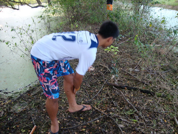 เดินเข้ามาข้างในเจอทั้งต้นเล็ก ต้นใหญ่ กำลังอัดปลาเลย..... :cheer: :cheer: