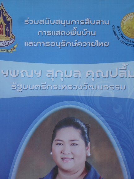ผู้สนับสนุน