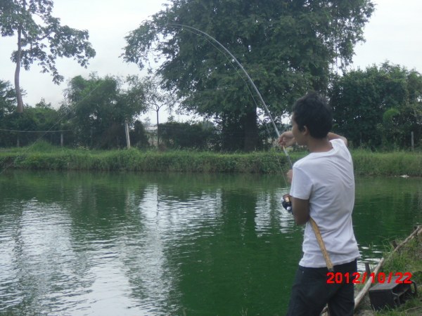  :cool:
