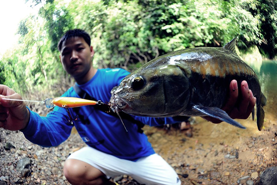 "Rapala Shad Rap"

ในบรรดาเหยื่อปลอมหลากหลายสายพันธุ์ที่ถือกำเนิดบนโลกโทรมๆใบนี้  เหยื่อจากมันสม