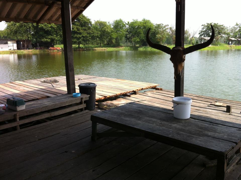 อีกด้านครับ